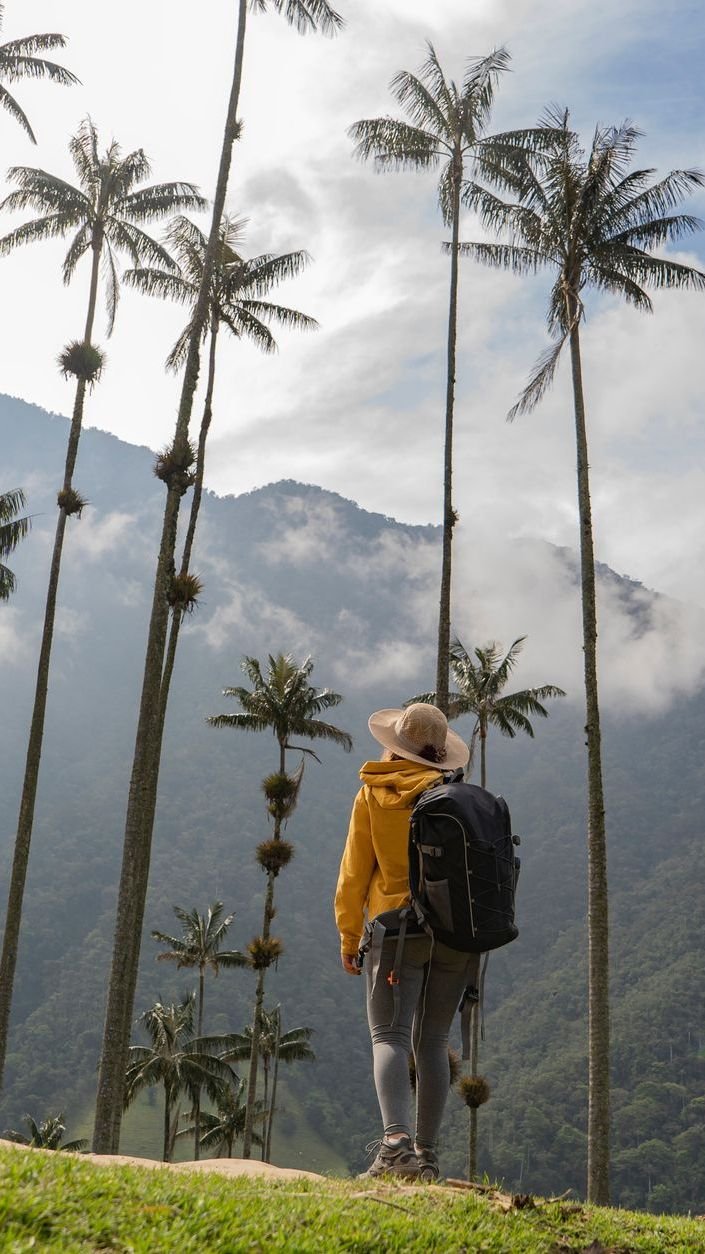 Cocora Valley